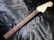 画像1: WARMOTH Rosewood / Maple Neck 22F / Large head STRATOCASTER®  (1)