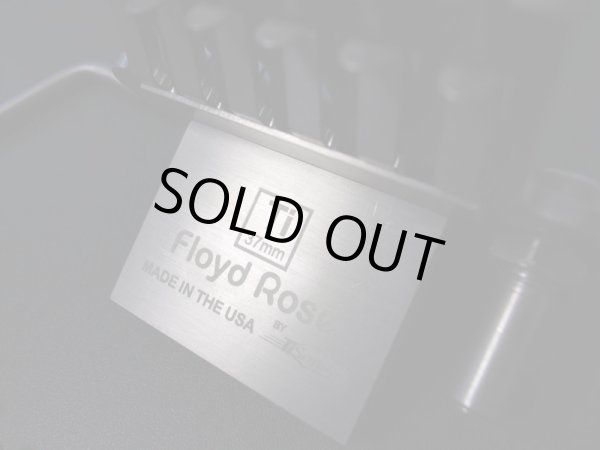 画像2: 37mm  Floyd Rose Titanium Tremolo  FRT-TI　 (2)