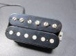 画像1: Charvel Humbucker Pickup 1989製　"Jake E Lee" (1)