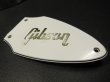 画像3: Gibson 82' Flying V  Rod cover　 (3)