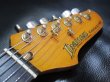 画像4: Ibanez Road Star II Series RS1010SL (4)