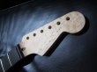 画像3: WARMOTH Radius Ebony / Birdseye Maple Neck 22F / Small head STRATOCASTER®  (3)