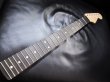 画像1: WARMOTH Radius Ebony / Birdseye Maple Neck 22F / Small head STRATOCASTER®  (1)