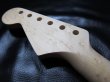 画像5: WARMOTH Radius Rosewood / Maple Neck 22F / Small head STRATOCASTER®  (5)