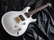 画像1: Paul Reed Smith Dave Navarro Signature　"NEW" (1)