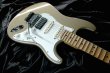 画像3: Fender Custom Shop 1956 STRATOCASTER  ／Harry K Cody / Master Builder Larry Brooks / Shoreline Gold (3)