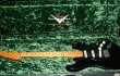 画像3: Fender Custom Shop David Gilmour "NOS"   Stratocaster  (3)