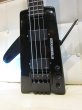 画像2: Steinberger XL-2 / 89 (2)