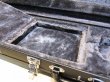 画像3: Steinberger L-2 / XL-2 用 Hard Case (3)