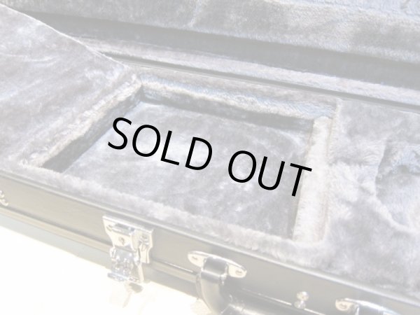 画像3: Steinberger L-2 / XL-2 用 Hard Case (3)