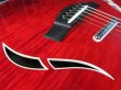 画像5: Taylor T5z Borrego Red (5)