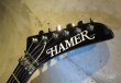 画像2: HAMER USA Chaparral Custom / Dark Blue  (2)