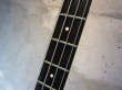 画像3: Steinberger L-2 / 83'  (3)