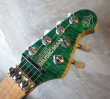 画像3: Music Man EVH Signature Model / Green Quilt Top  (3)