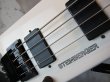 画像3: Steinberger XL-2 '86  (3)