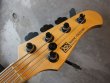 画像2: Xotic USA  XJ-1 5-String Pudding Sunburst  (2)