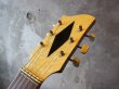 画像3: Hofner Acoustic Jazz Guitar Archtop / Sunburst Model 455 (3)