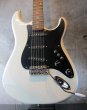 画像2: Greco SE Series / Jeff Beck Stratocaster  (2)