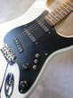 画像3: Greco SE Series / Jeff Beck Stratocaster  (3)