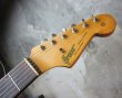 画像3: Greco SE 500 Series / Jeff Beck  Stratocaster (3)