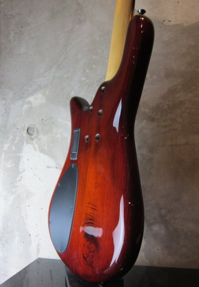 画像3: Spector USA NS-5H2 / Ultra Amber 