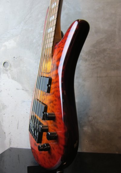 画像2: Spector USA NS-5H2 / Ultra Amber 