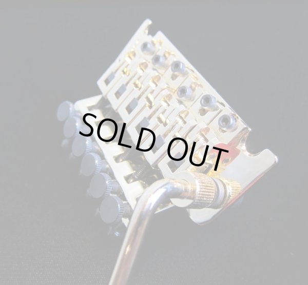画像2: Floyd Rose Special Tremolo Bridge System Gold FRSG  (2)