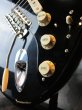画像5: Fender Custom Shop David Gilmour "Relic" Stratocaster / Black "NEW" (5)