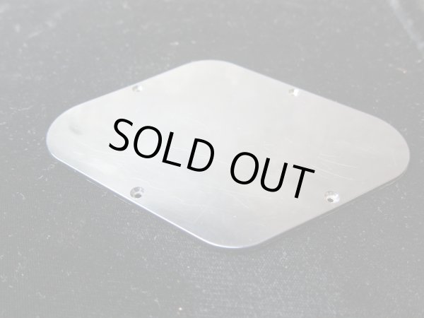 画像2: Gibson Les Paul Axcess Back Panel Set / Black (2)