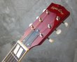 画像2: Sepia Crue SJ280 Cherry Sunburst (2)