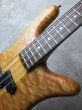 画像4: Spector USA NS-2O 1989 / Oil Finish (4)