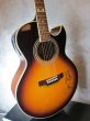 画像5: Epiphone Jeff "Skunk" Baxter Signature Model w/ Autograph (5)