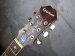 画像2: Epiphone Jeff "Skunk" Baxter Signature Model w/ Autograph (2)