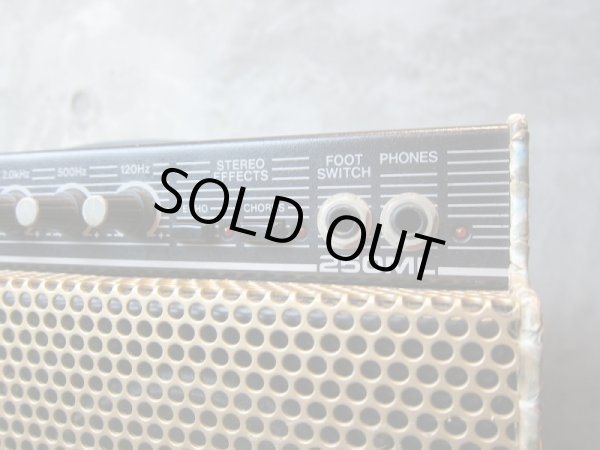 画像2: Gallien-Krueger 250ML /  Snake Skin Gold  (2)