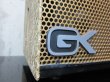 画像4: Gallien-Krueger 250ML /  Snake Skin Gold  (4)