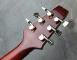 画像7: Aria Pro II / PE-R80KV 1983  (7)