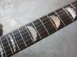 画像5: Aria Pro II / PE-R80KV 1983  (5)