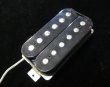 画像3: Gibson Burst Bucker Pickup Type 2 (3)