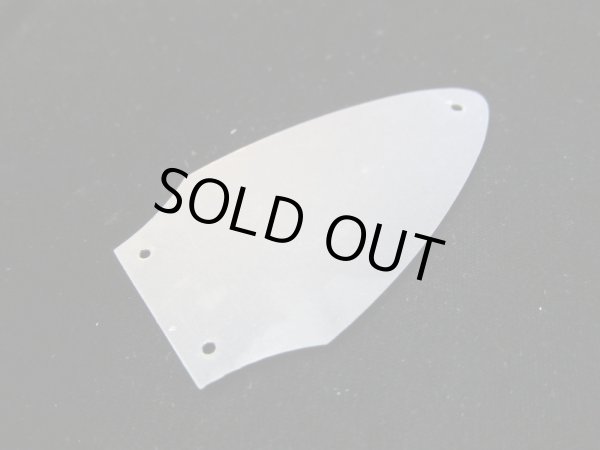 画像2: Gibson USA Flying V / Rod cover (2)