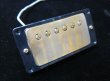 画像1: Bare Knuckle Humbucker Pickup (1)