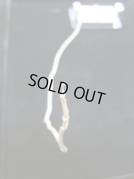 画像4: Gibson T Top Patent Number Humbucker Pickup '75 / Neck (4)