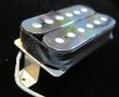 画像2: Gibson Burst Bucker Pickup  Type1 (2)