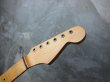 画像1: Stratocaster Neck Fretted Painted  (1)