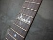 画像4: ESP Custom Shop George Lynch Super V / Matt Black  (4)