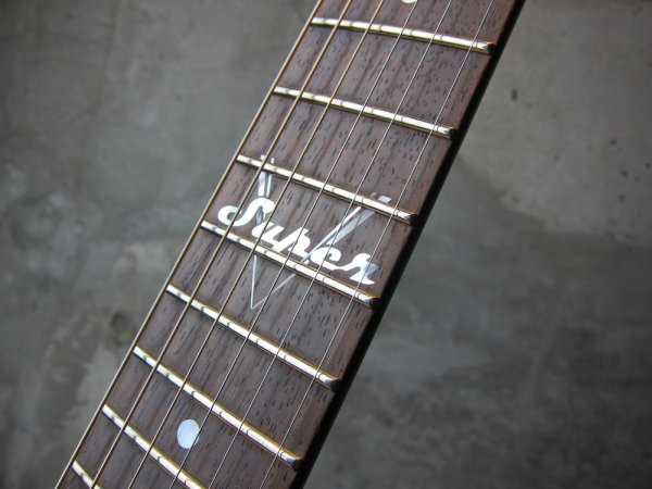 画像4: ESP Custom Shop George Lynch Super V / Matt Black  (4)
