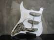 画像1: Fender USA Stratocaster Pickguard Assembly  (1)