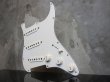 画像5: Fender USA Stratocaster Pickguard Assembly  (5)