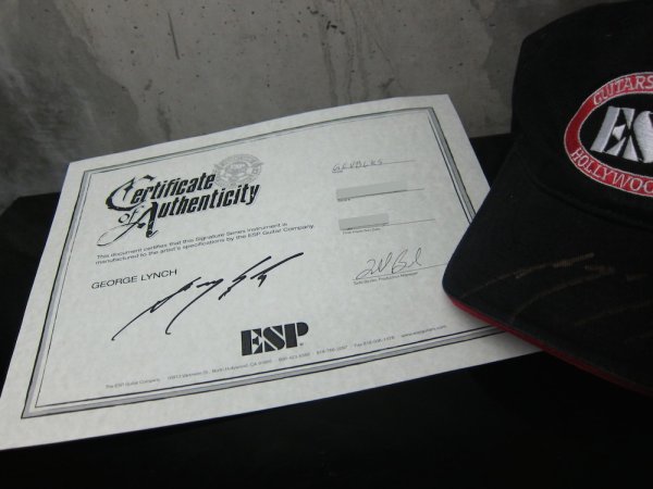 画像10: ESP Custom Shop George Lynch Super V / Matt Black  (10)
