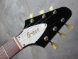 画像2: Greco Flying V FV 1982 Black  (2)