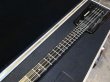 画像6: Steinberger Original Tour Case /  XL-2 (6)